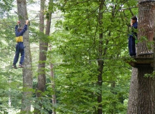 Niños en el curso de los árboles 